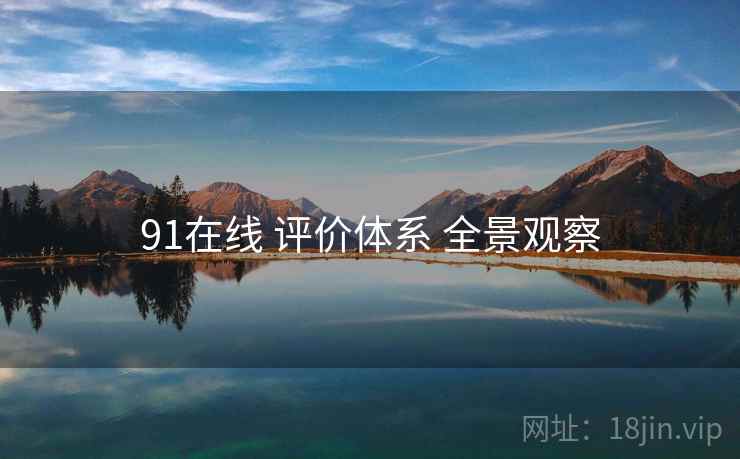 91在线 评价体系 全景观察