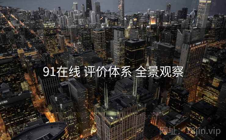 91在线 评价体系 全景观察