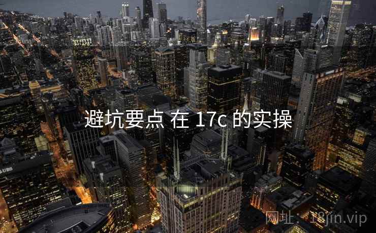 避坑要点 在 17c 的实操
