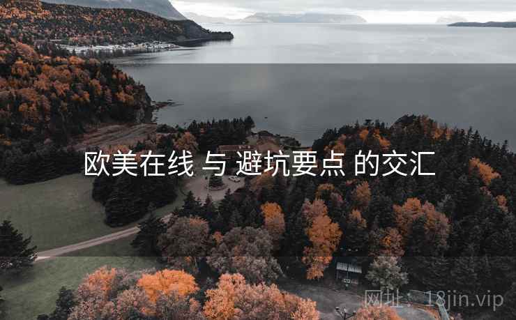 欧美在线 与 避坑要点 的交汇