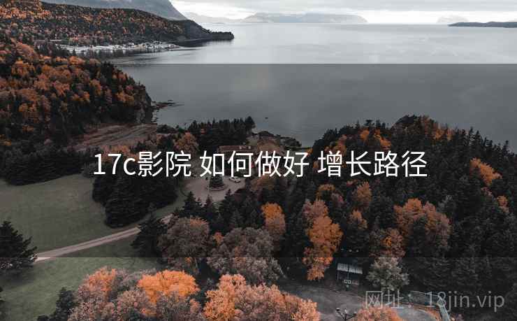 17c影院 如何做好 增长路径
