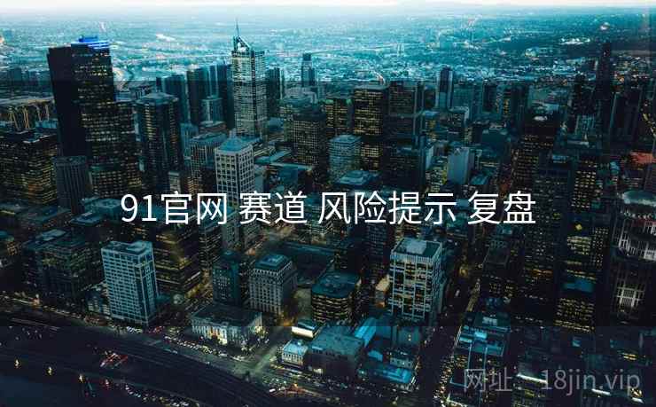 91官网 赛道 风险提示 复盘