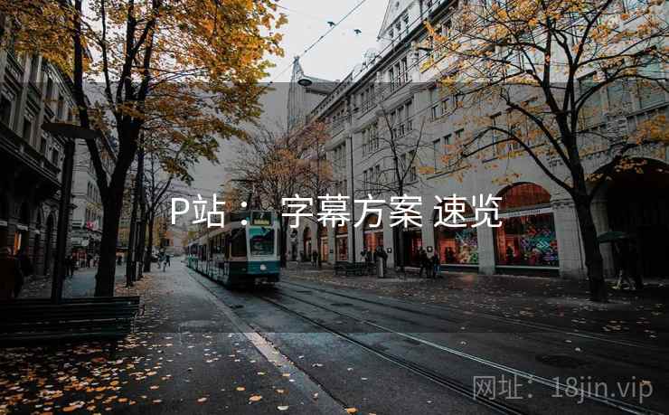 P站 ： 字幕方案 速览