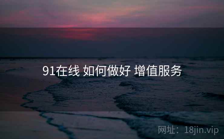 91在线 如何做好 增值服务