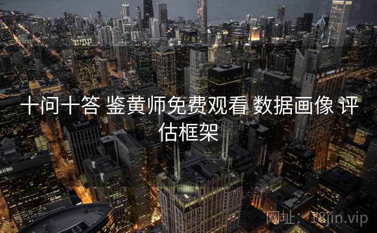 十问十答 鉴黄师免费观看 数据画像 评估框架