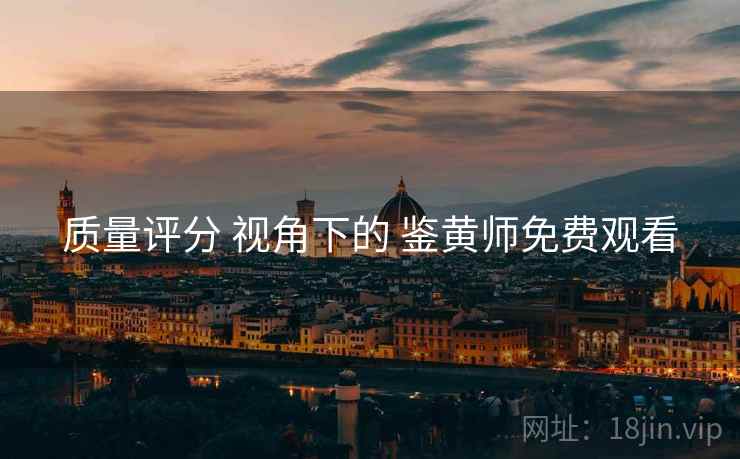 质量评分 视角下的 鉴黄师免费观看
