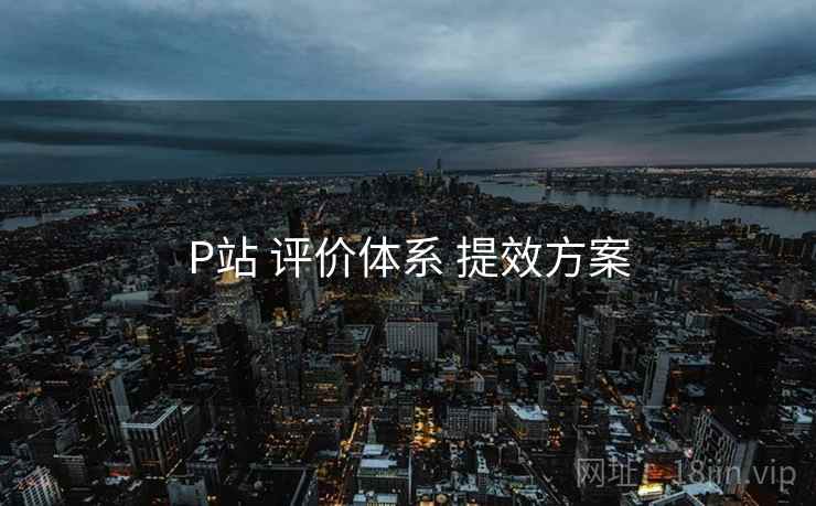 P站 评价体系 提效方案