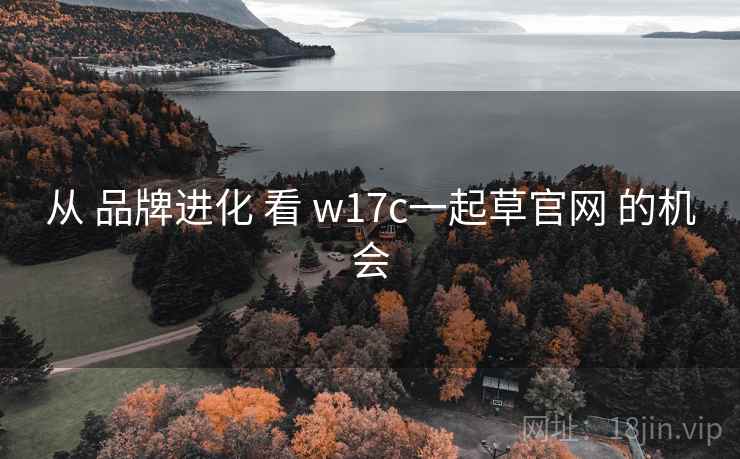 从 品牌进化 看 w17c一起草官网 的机会