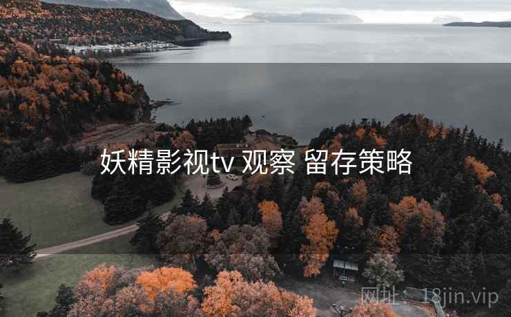 妖精影视tv 观察 留存策略