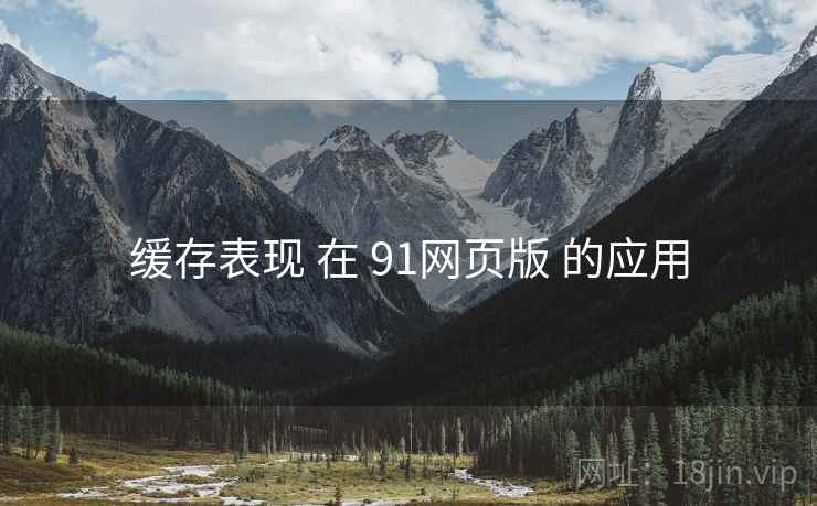 缓存表现 在 91网页版 的应用