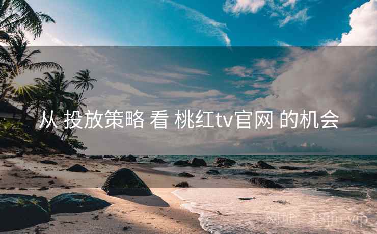 从 投放策略 看 桃红tv官网 的机会
